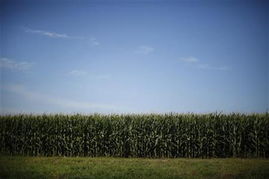 美农民组织呼吁停止使用有害农药